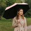 Windproof Capsule Foldable Umbrella Reinforced Umbrella Rack UV Umbrella Rain Umbrella Women