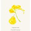 HAIR+ - Protein Bond Ampoule Pear & Freesia Edition