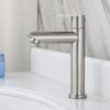 Rotary Switch Lavatory Basin Faucet Single Cold Kitchen Sink Faucet Kitchen Use