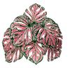 Artificial Green Plants: Large Banana Leaves, Monstera, Spring Feather, Areca Palm & Fan Tail Palm for Home and Garden Decor