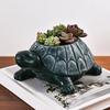 Turtle Succulents Planter Resin Animal Flower Pot Tabletop Decoration Turtle Statue Planter for Garden Home Indoor Outdoor Use