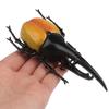 Figures Insect Toy Joke Toys Insect Model Beetle Toys Special Lifelike Model Simulation Beetle