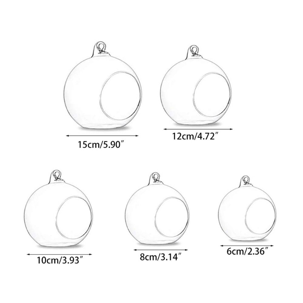 Ball Hanging Tealight Holder Transparent Glass Planter Succulents Plant Ball Container Hydroponics