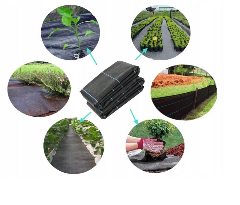 Black mulching agrotextile 100g 1.6m x 5m