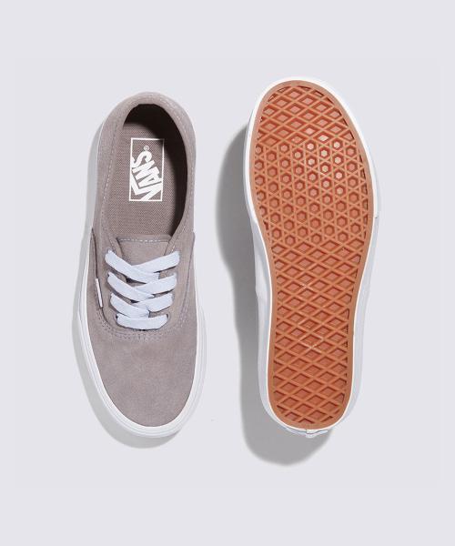 Vans Аутентичный - (Яркий цвет) Коряга VN0A2Z3ZD3Y1