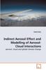 Книга Indirect Aerosol Effect and Modelling of Aerosol-Cloud Interactions