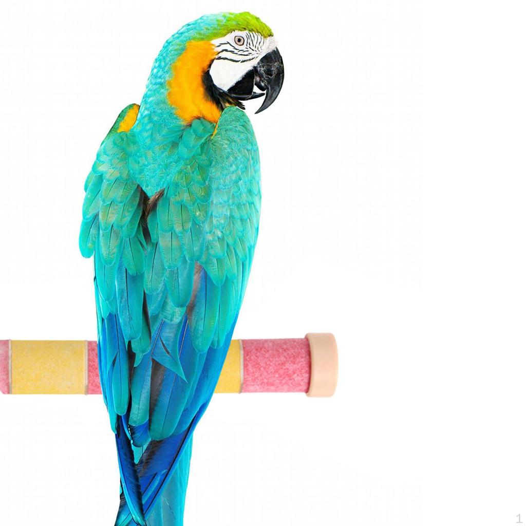 Жердочка для попугаев, аксессуары для клеток волнистых попугайчиков и канареек