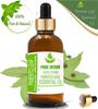 Чистые травы Лист пименты 100% чистое эфирное масло Pimenta Officinalis UKZA 644