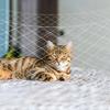 Нейлоновая сетка для забора для домашних животных Кошка Собака Защитный барьер 4x3 м