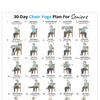 2Pcs Chair Yoga Poster Set, 30 Day Seated Exercise Chart for Seniors, Gentle Stretching Workout Guide for Elderly, Strength Training Wall Art