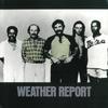 LP Record WEATHER REPORT - Weather Report FCPA610 CBS SONY 1981 Japan Jazz Used
