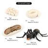 Simulation Ants Animal Life ,insect Growth Model Life Educational Black Ants - RIpj