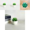 Simulated Succulent Bonsai Pot With Lightweight Pvc For Home Office Interior Design