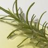 KAINE Rosemary AHA Night Serum 30ml