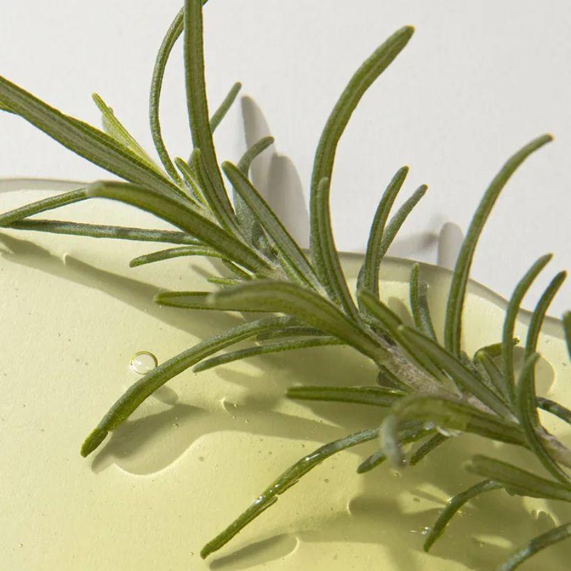 KAINE Rosemary AHA Night Serum 30ml