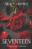 Книга Seventeen : A Romantic Short Story Collection : 1