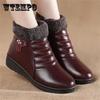 Plush Fleece Boots Winter Warm Short Cotton Boots Waterproof Non-slip Platform Mother Shoes