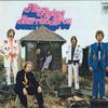 LP Record FLYING BURRITO BROS - The Gilded Palace Of Sin B003262301 A&M Records 2021 US Rock