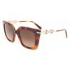 Ferragamo Women S 51mm Brown SunglaSSeS Sf1041S 238 Havana