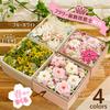 Apron Selection Preserved Flower Box (Sakura) - Perfect for Celebrations, Pink, Made in Japan by a Floral Arranger