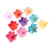 Seaside Vacation Hair Clip Back Of The Head With Multi-Color Optional Bauhinia Clip