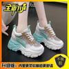 Daddy Shoes Women's Mesh Thick-soled Non-slip Inner Height-increasing Women's Shoes Small People Show Height Casual Women's Shoes Summer Sports Shoe