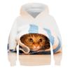 Autumn 3D Cat Pattern Printed Top Fashionable Casual Long Sleeved Children's Boy Hoodies