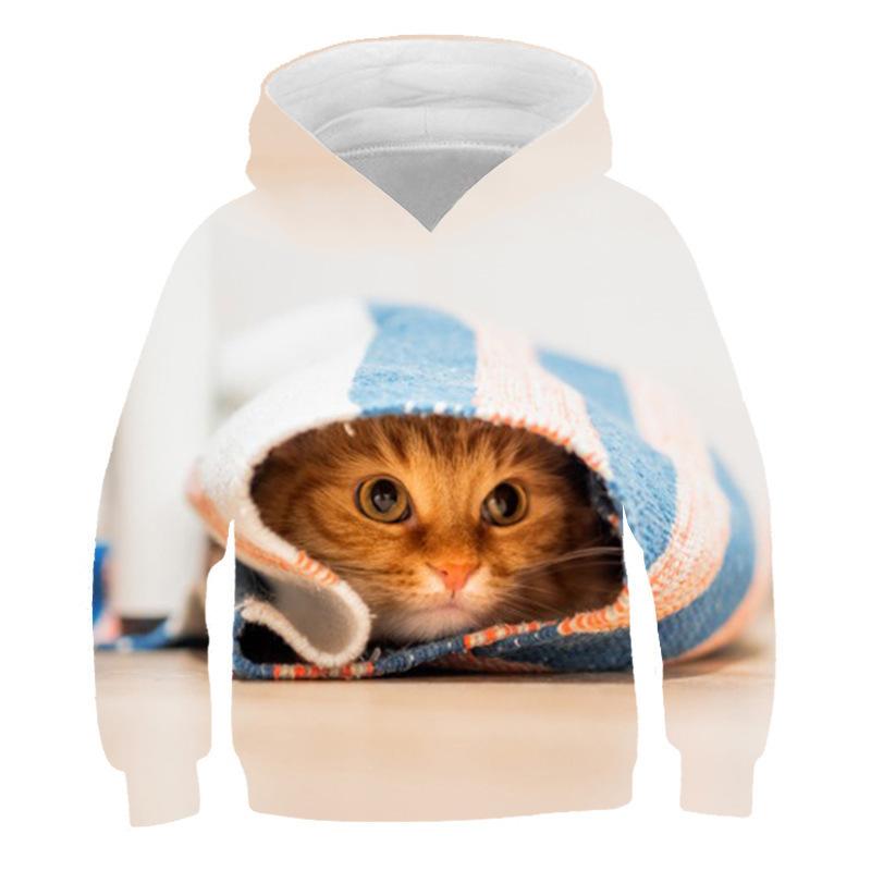 Autumn 3D Cat Pattern Printed Top Fashionable Casual Long Sleeved Children's Boy Hoodies