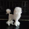4 Inch Pink Poodle Figure Simulation Dog Plush Toys Gift Crafts  Home Decoration