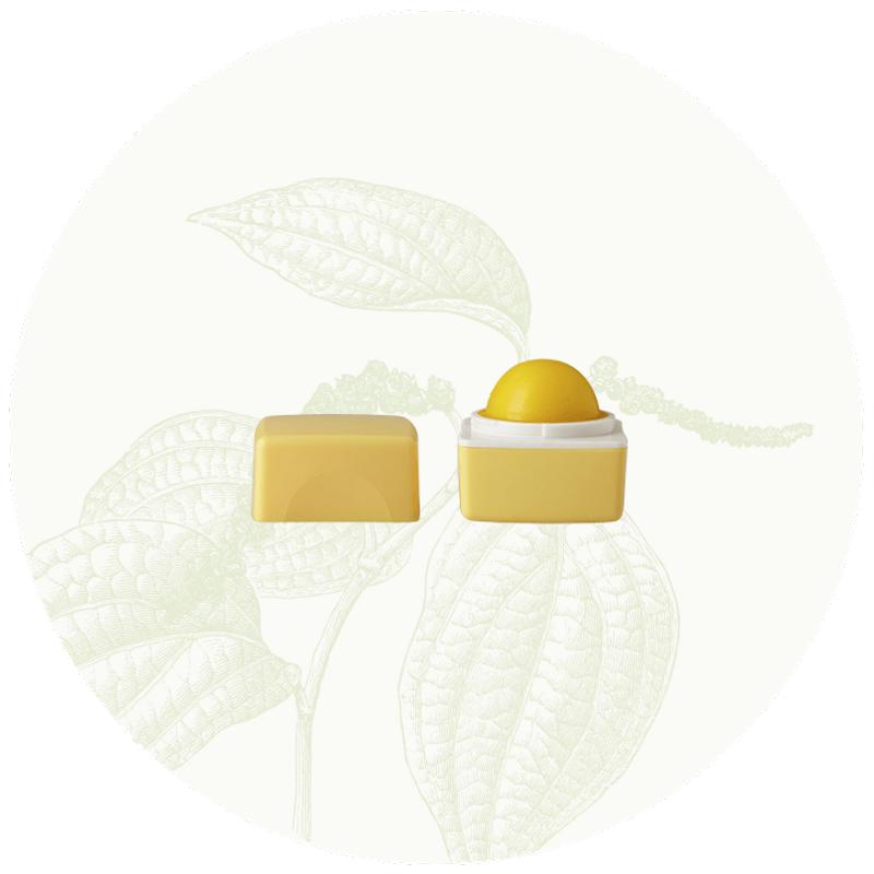 Organic Harvest Лимонный бальзам для губ, 10 г