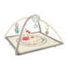 Fisher Price Sanrio Baby Musical Deluxe Gym [0 месяцев и старше] [Развивающая игрушка] [Тканевая игрушка] GXC10