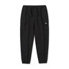 [Snowpeak] Route Cargo Jogger Pants Black (S25FMRPT68)