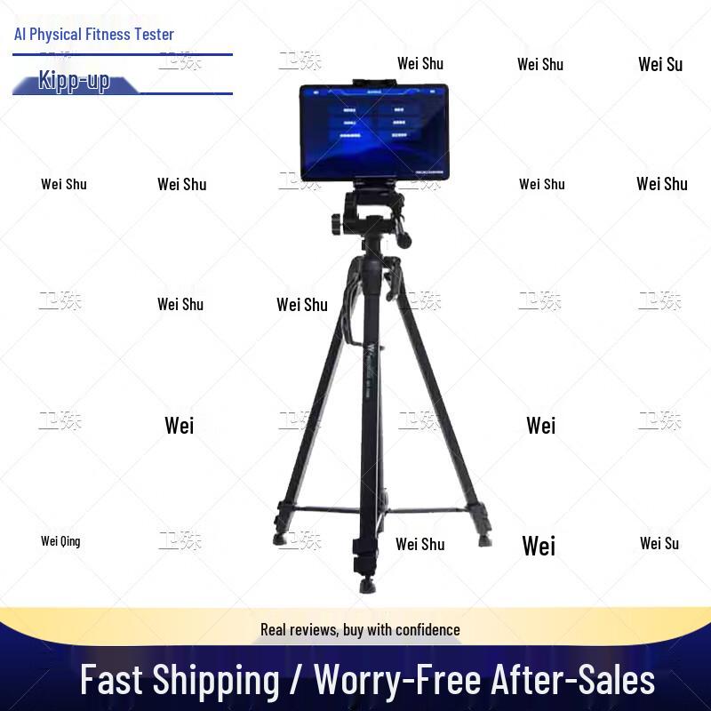Weishu AI Fitness Assessment System