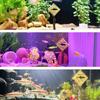 Artificial Aquarium Decoration Resin Aquarium Background Interesting Shark Warning Sign  Fish Tank