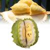 Removable Plush Durian Toy Dolls Soft Room Decoration Ornament Gifts Children