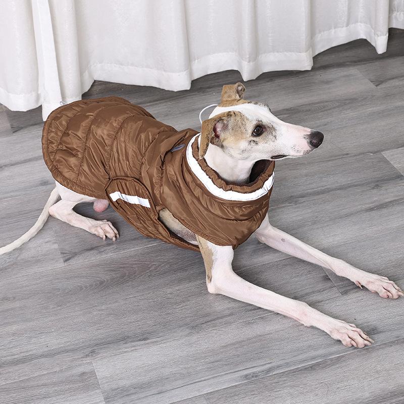 Dog Clothes Winter Clothes Winter Thickened Winter Golden Hair Silky Warm Large and Small Dogs and Cats Foreign Pet Clothes