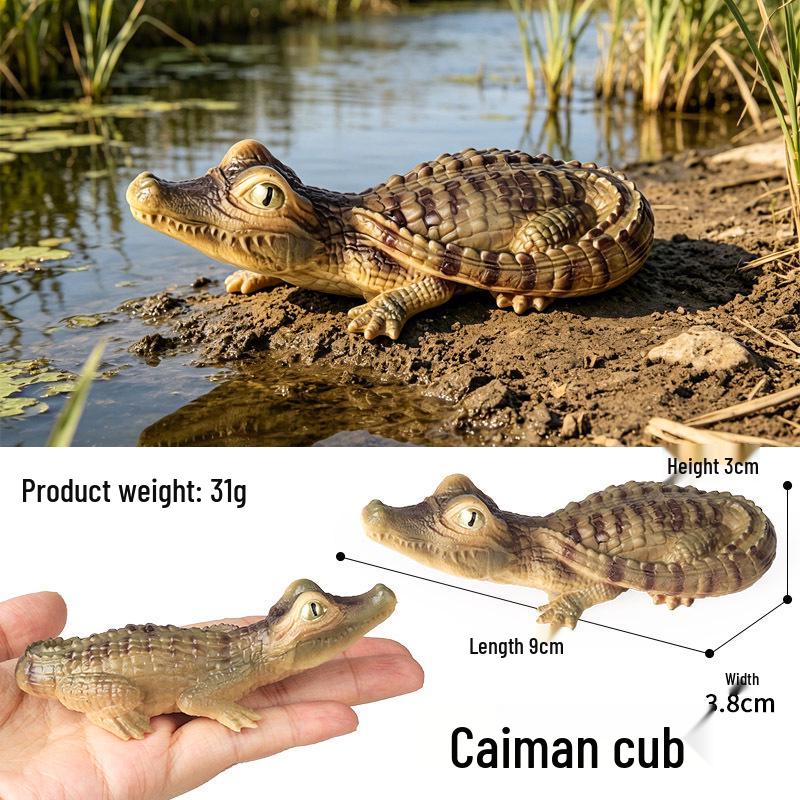 Cute Animal Models: Japanese Raccoon, Flying Squirrel, Monkey, Rabbit, Squirrel, Shiba Inu, Tiger, Lion, Lizard Toy Set