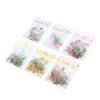 6 Pack Floral Stickers Set DIY Hand Crafted PET Transparent Floral Leaves Stickers for Scrapbooking