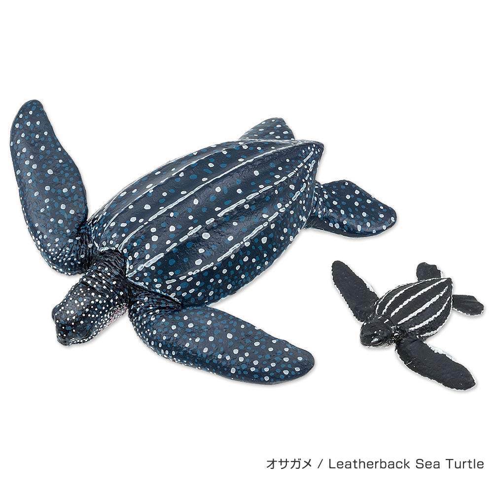 COLORATA Морская черепаха, родитель и детеныш, фигурка, 3D книжка-картинка, 5 видов, 10 штук, инструкция, реалистичная фигурка, коробочная игрушка, развивающая игрушка, подарок