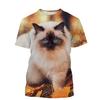 Summer Casual Short Sleeved T-shirt New 3D Plush Cat Fun Kitten Print Personalized Versatile T-Shirts