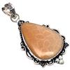 Pendant Fossil Coral Gemstone Gift For Her Silver Jewelry 2.5"