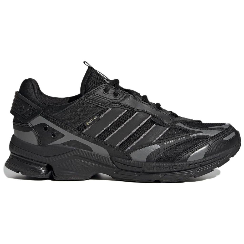 Adidas Spiritain 2000 GORE-TEX Black Dark Grey Unisex Sneakers Core-Black Iron-Metallic HP6716