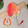 Fruit Print Fan with Wooden Long Handle Portable Lightweight Outdoor Travel Camping Picnic Summer Handheld Round Paper Fan