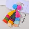 Colorful Tassel Pendant Handbag Charm Key Accessory