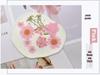 Maifeng Pressed Flower Art Pack: Dried Flower Material and Real Plant Specimens.