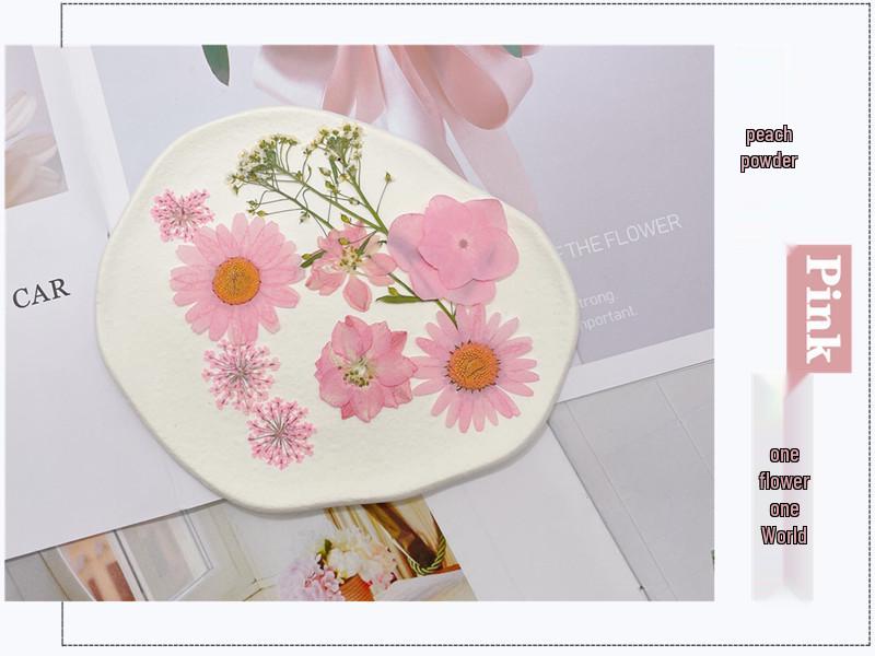 Maifeng Pressed Flower Art Pack: Dried Flower Material and Real Plant Specimens.