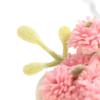 1:12 кукольных миниатюрных цветов, украшение для сада фей, горшечные растения, цветы в горшках