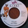 7inch Record HARRY TODDLER - Devil Dat NONE Baby Giant Reco Jamaica Reggae, Ska & Dub Used