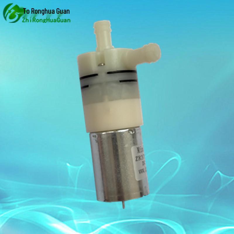 Ronghua Guan 12V/24V Mini Water/Vacuum Pump - Model 370