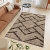 Washable Printed Carpet RVG0717